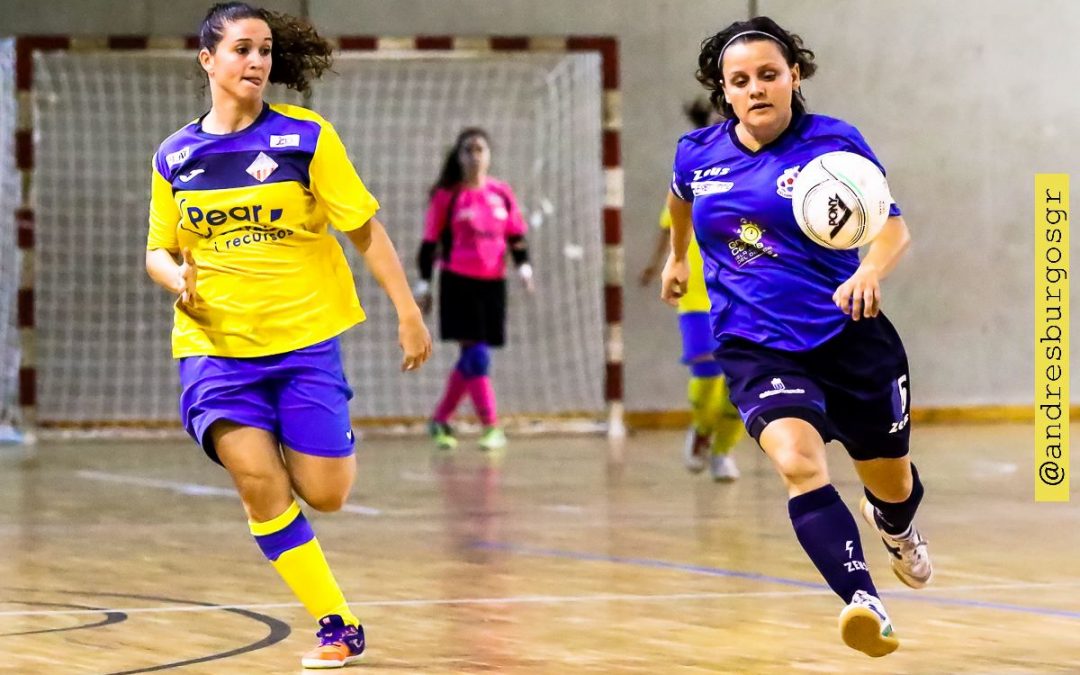 Segunda división fútbol sala femenino grupo 2
