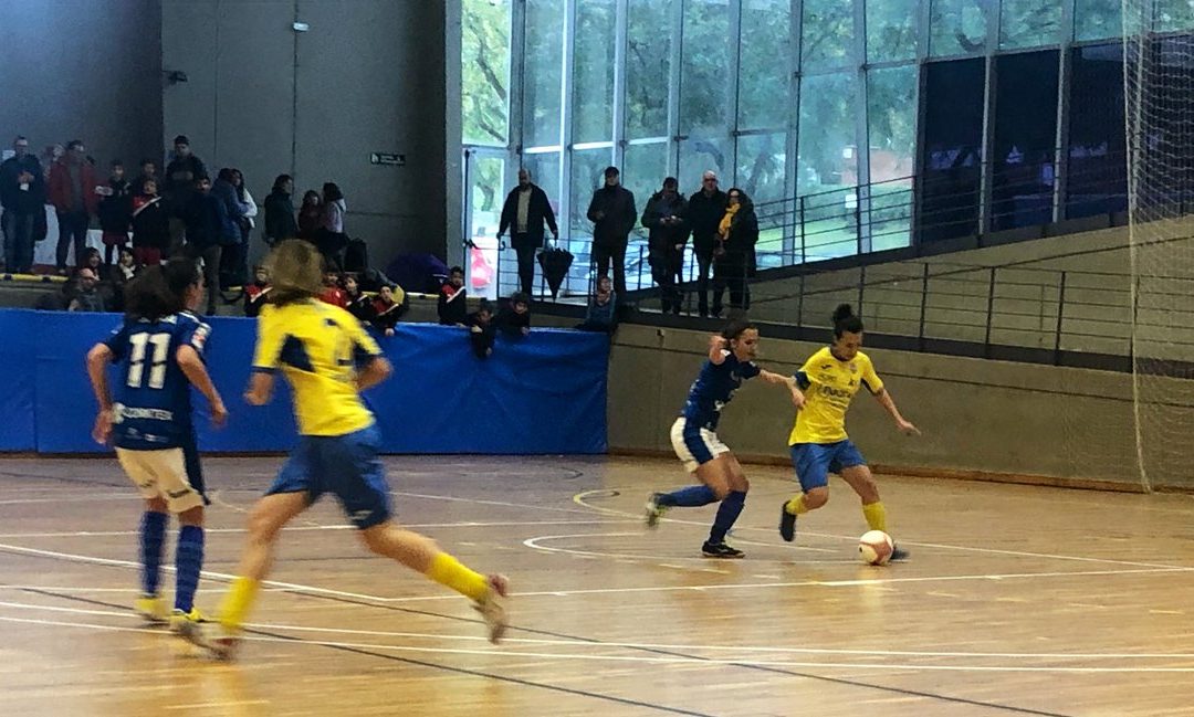 Segona Divisió Femenina (Grup 2). Jornada 15: FS CASTELLDEFELS ASSESSORIA PEAR – CFS BISONTES CASTELLÓN: 2-2. Final fatídic